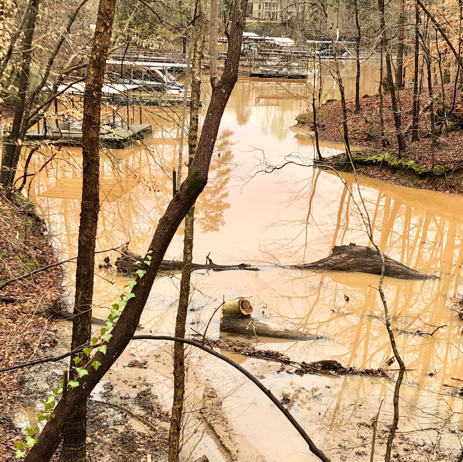 Erosion into Lake Lanier