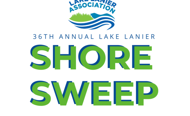 Thumbnail for the article Shore Sweep 2024
