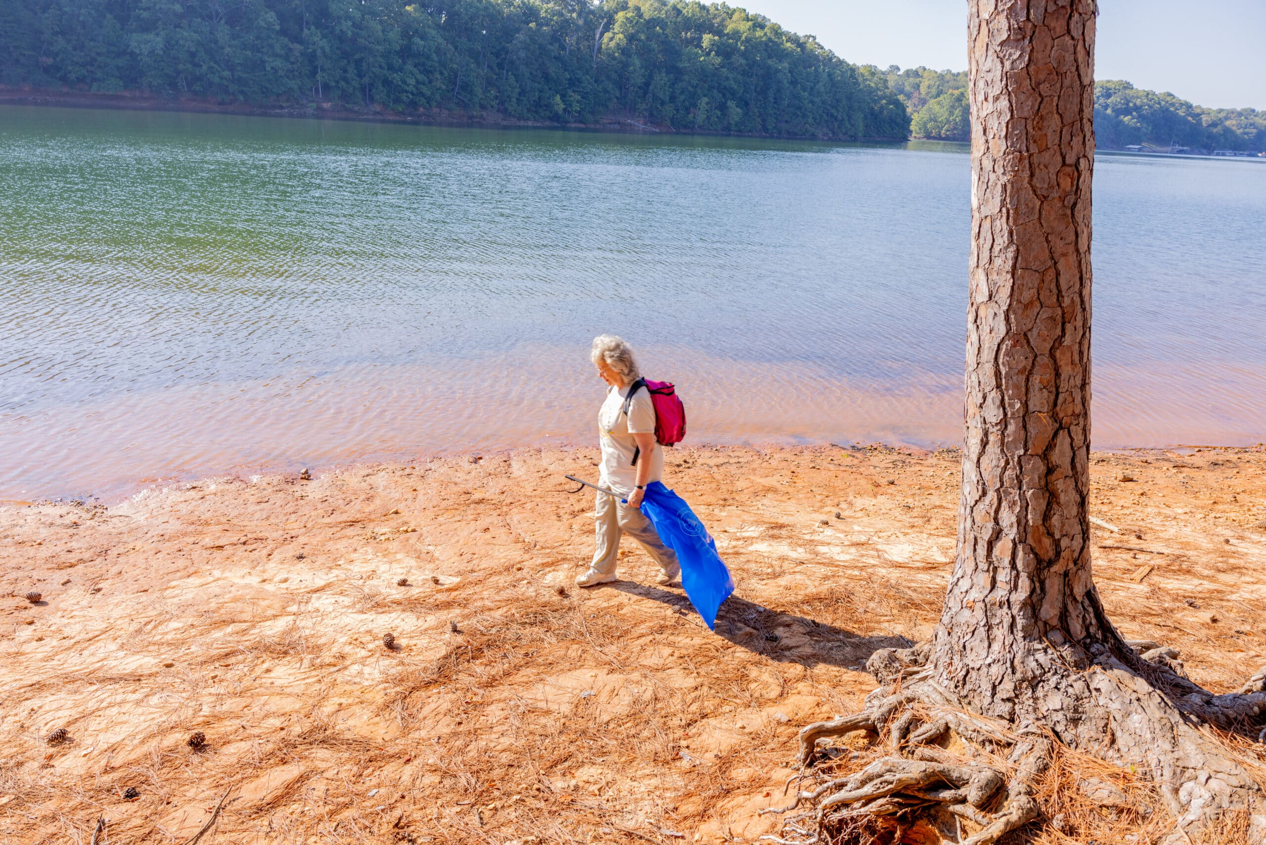 LLA Lake Lanier Shore Sweep