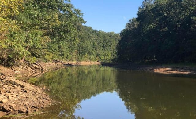 Thumbnail for the article LAKE LEVEL UPDATE – MARCH 2026