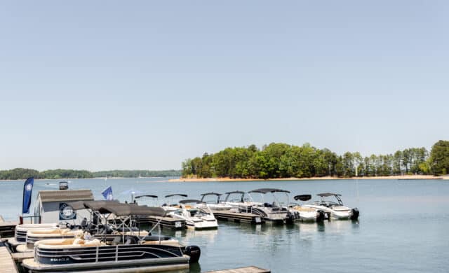 Thumbnail for the article A Note from the President as Summer Wraps Up on Lake Lanier
